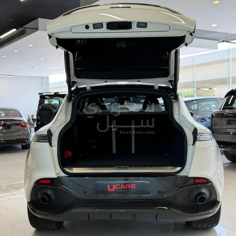 2021 استون مارتن دي بي اكس 550