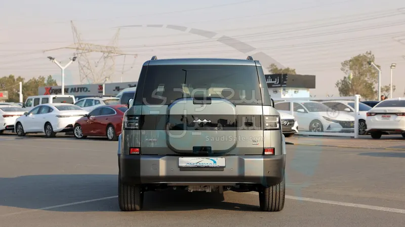 2025 بي واي دي ليوبارد 7