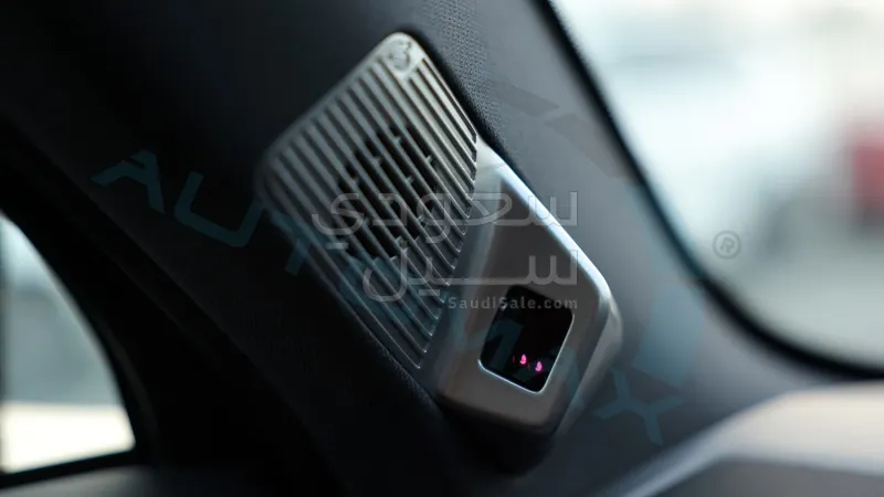 2025 بي واي دي ليوبارد 7