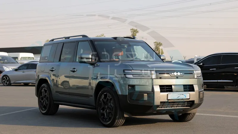 2025 بي واي دي ليوبارد 7