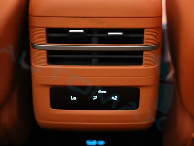 2025 بي واي دي ليوبارد 7