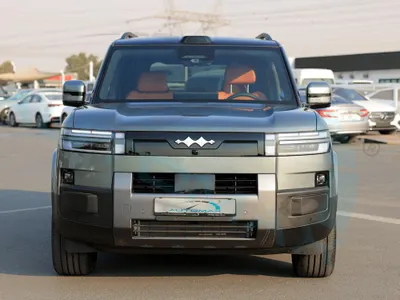 2025 بي واي دي ليوبارد 7