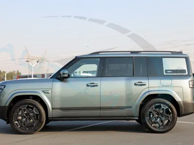 2025 بي واي دي ليوبارد 7