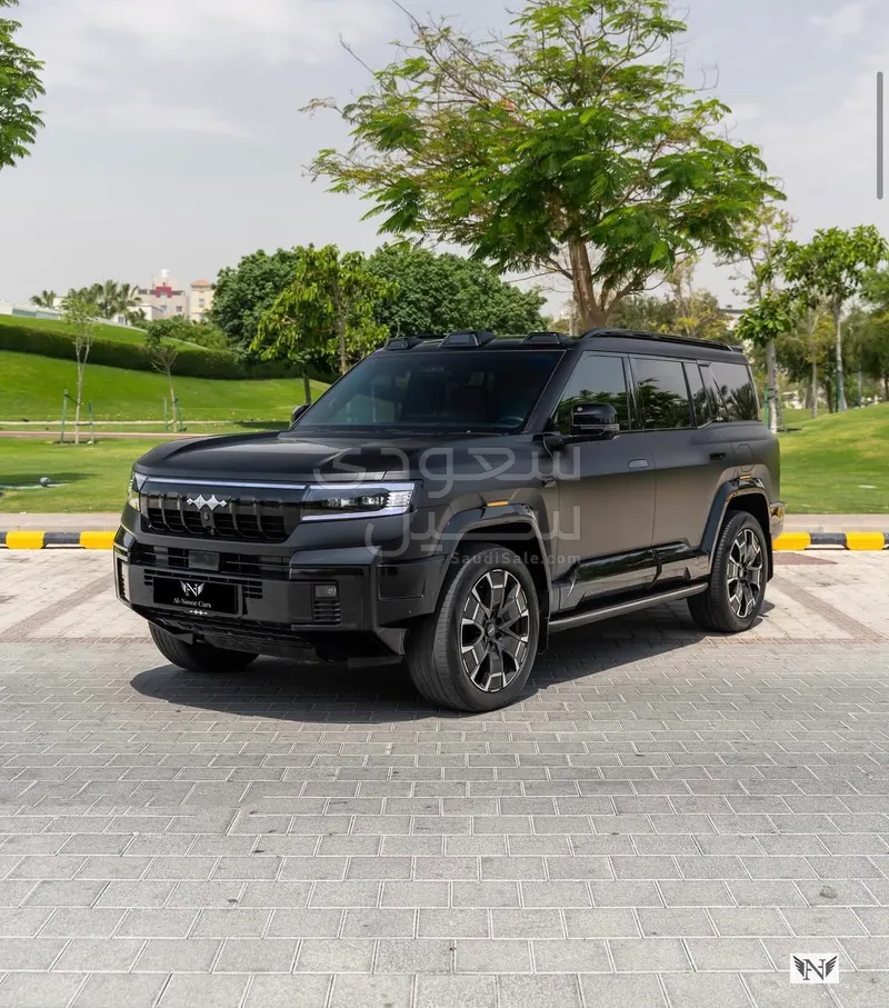 2025 بي واي دي ليوبارد 8