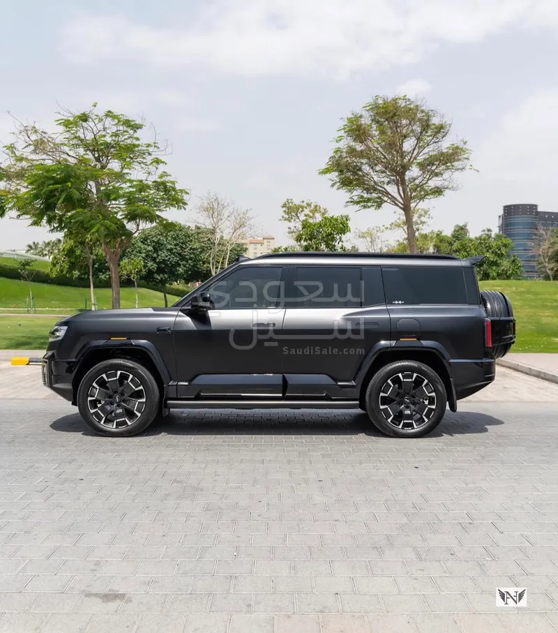 2025 بي واي دي ليوبارد 8