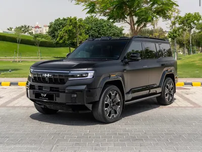 2025 بي واي دي ليوبارد 8
