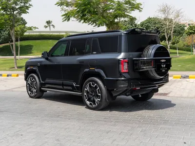 2025 بي واي دي ليوبارد 8