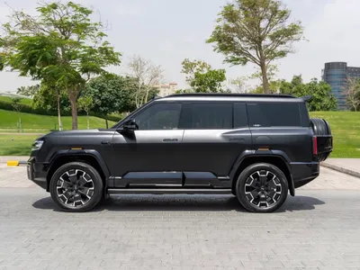 2025 بي واي دي ليوبارد 8