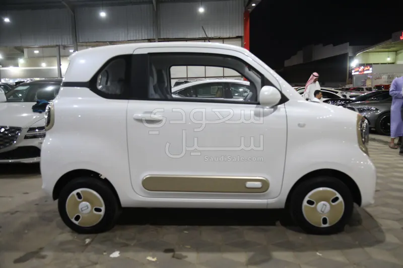 2025 Faw Bestune Mini EV