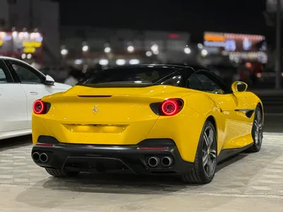 2019 فيراري بورتوفينو