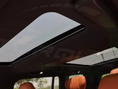 2026 روكس 01