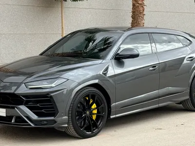 2019 لمبرجيني اوروس