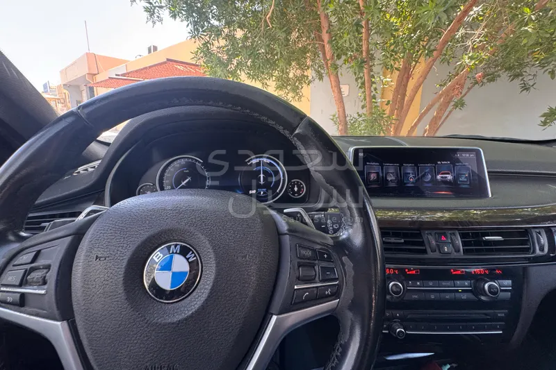 2017 BMW X Series 5
