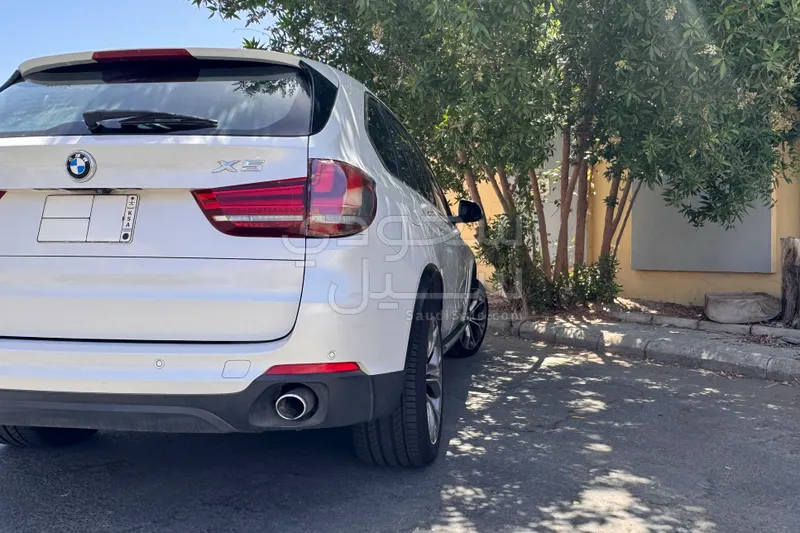2017 BMW X Series 5