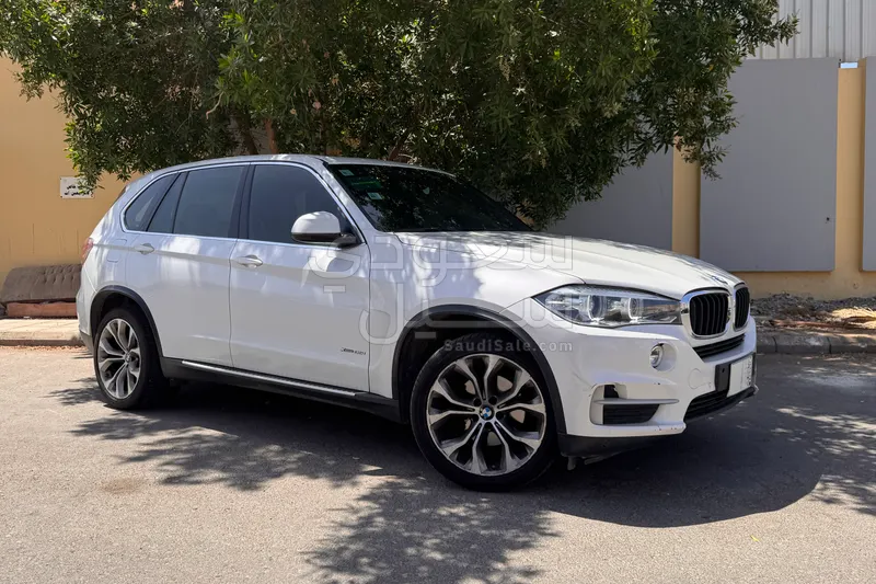 2017 BMW X Series 5