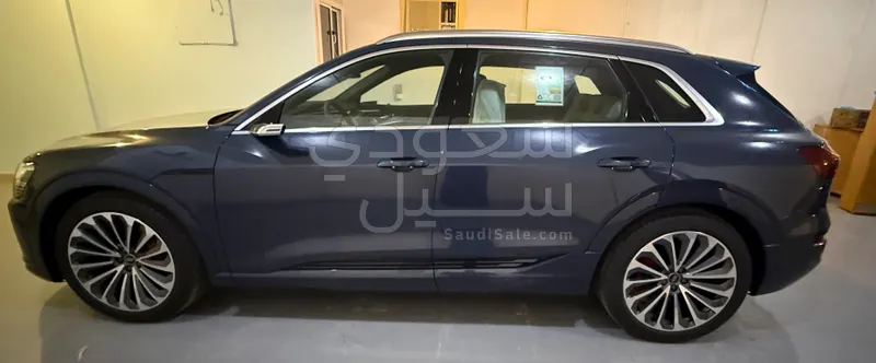 2024 اودي إي ترون سبورت باك اس لاين 55 كواترو