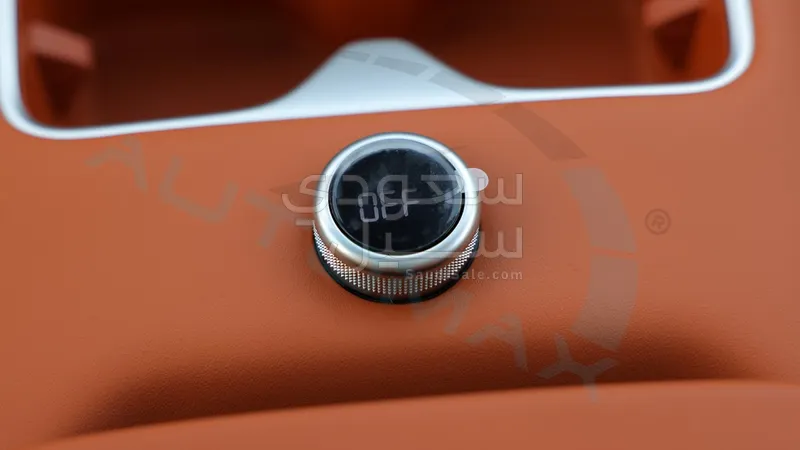 2025 BYD Leopard 7