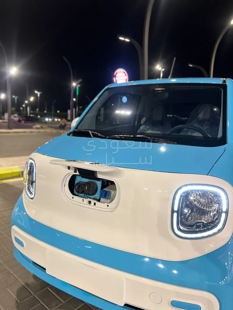 2025 Faw Bestune Mini EV