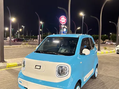 2025 Faw Bestune Mini EV