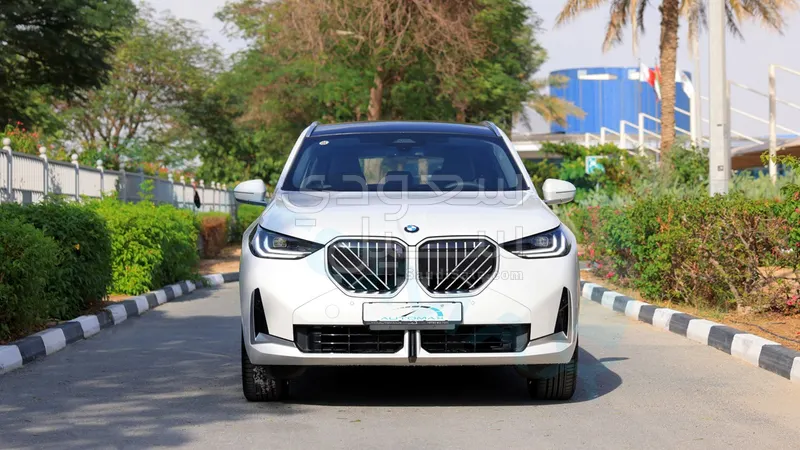 2025 BMW X Series 3