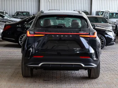 2024 Lexus NX 350