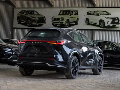 2024 Lexus NX 350