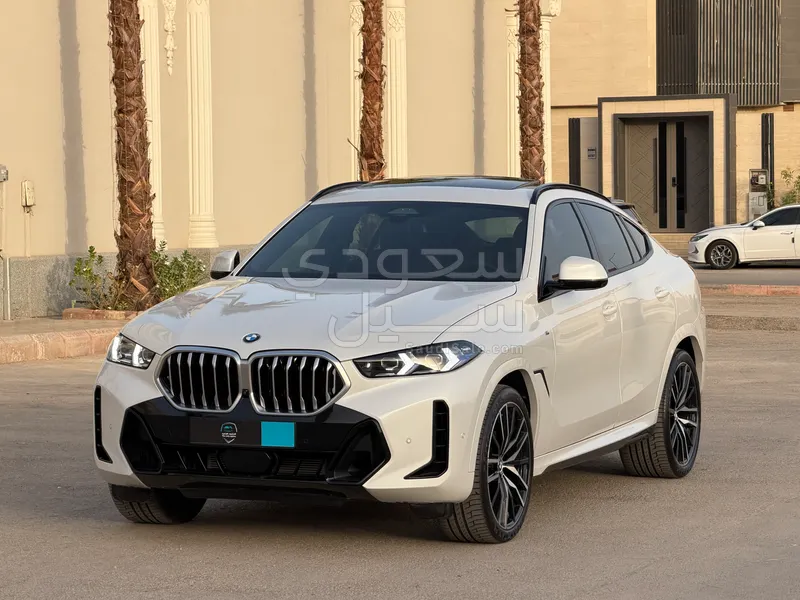 2024 BMW X Series 6
