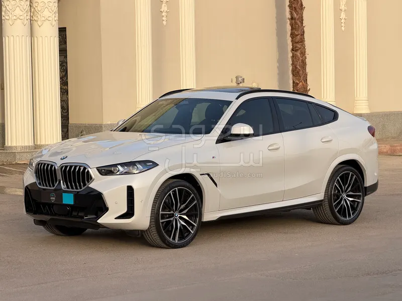 2024 BMW X Series 6