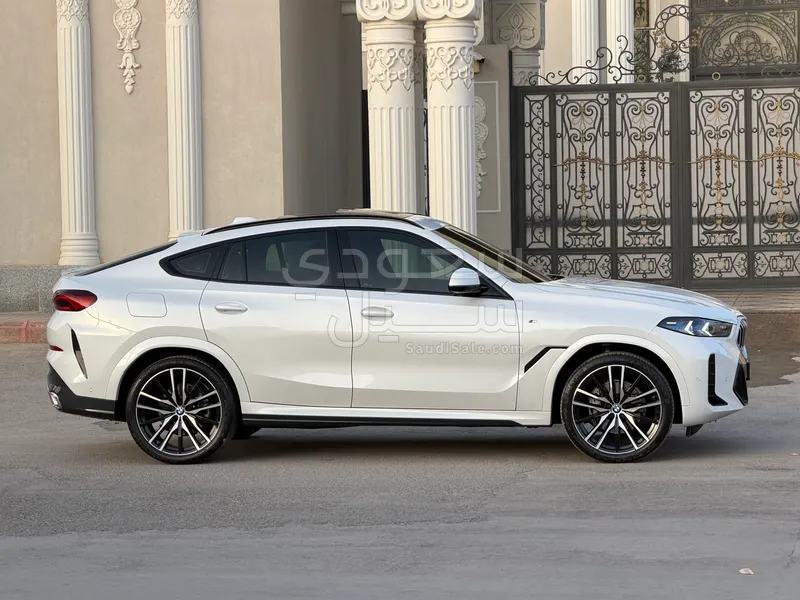 2024 BMW X Series 6