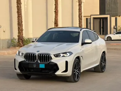 2024 BMW X Series 6