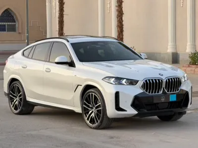 2024 BMW X Series 6