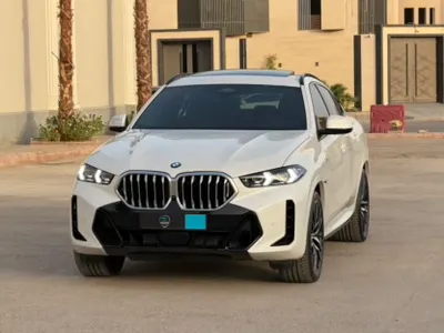 2024 BMW X Series 6