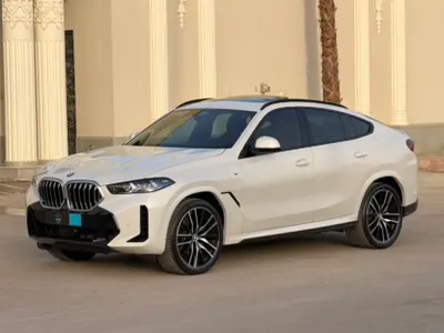 2024 BMW X Series 6