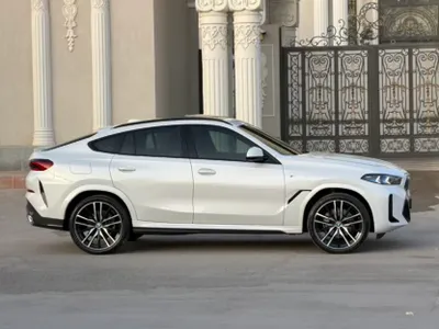 2024 BMW X Series 6