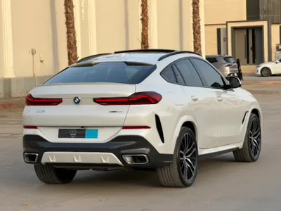 2024 BMW X Series 6