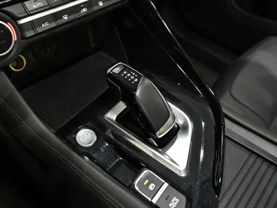 2022 Dongfeng Shine