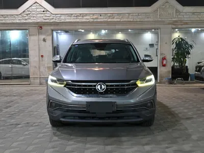 2022 Dongfeng Shine