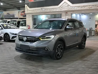2022 Dongfeng Shine