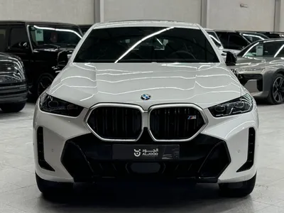 2025 بي ام دبليو الفئة اكس 6
