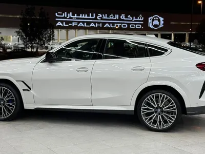 2025 بي ام دبليو الفئة اكس 6