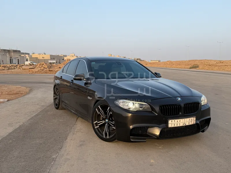 2015 BMW 5 Series 520i