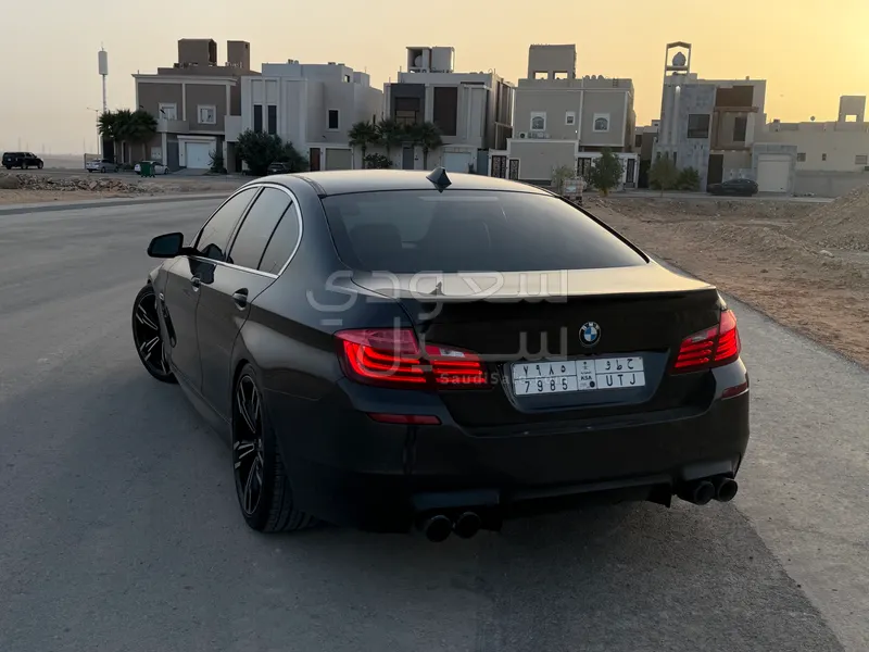 2015 BMW 5 Series 520i