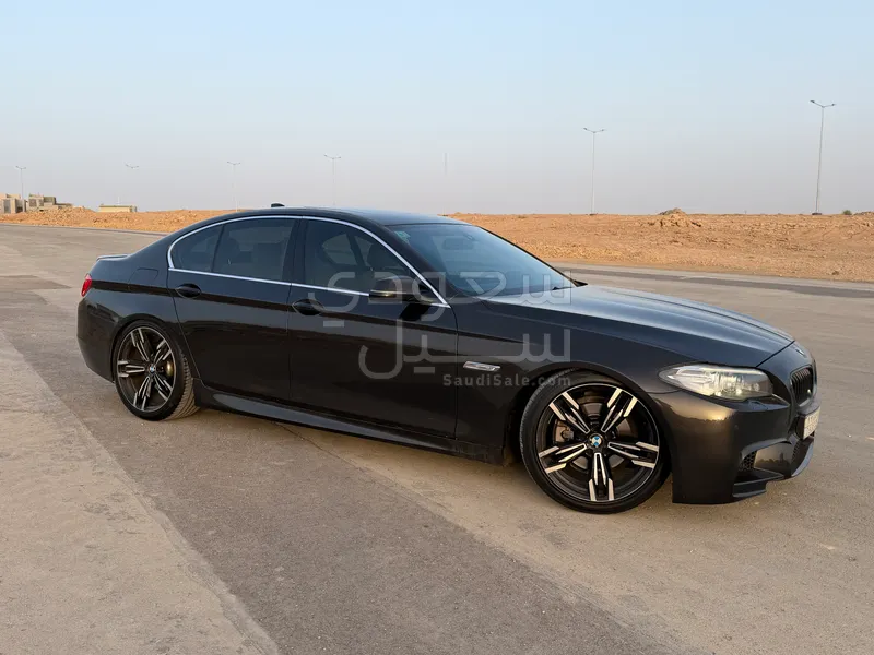 2015 BMW 5 Series 520i