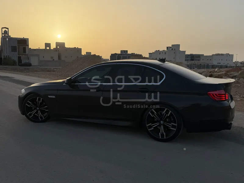 2015 BMW 5 Series 520i