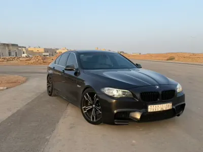 2015 BMW 5 Series 520i
