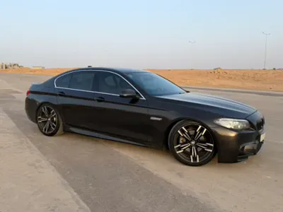2015 BMW 5 Series 520i