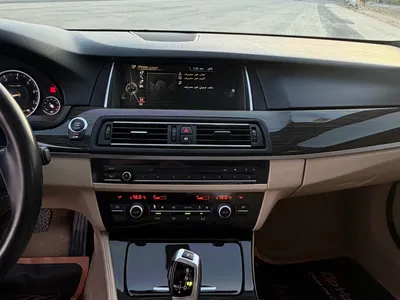 2015 BMW 5 Series 520i