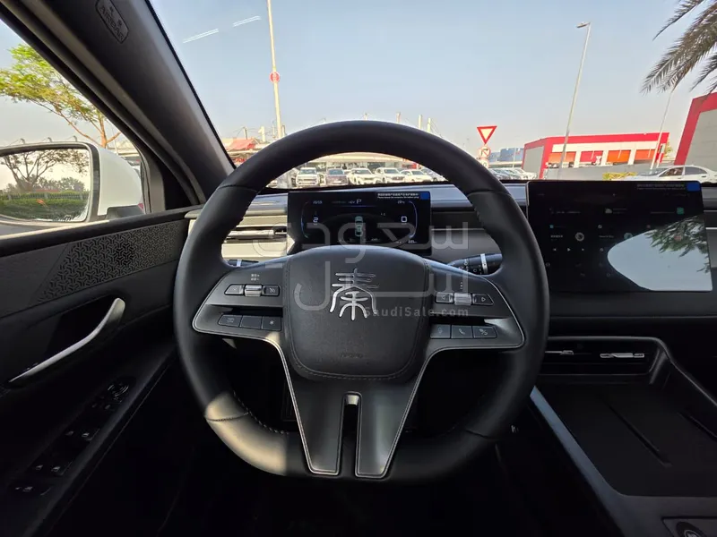 2025 بي واي دي كين بلس