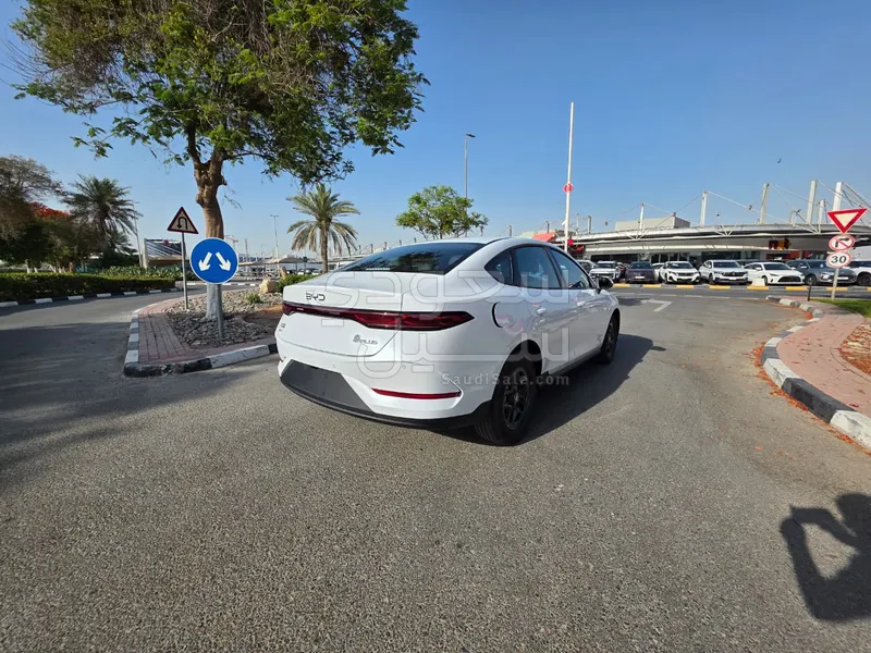 2025 بي واي دي كين بلس