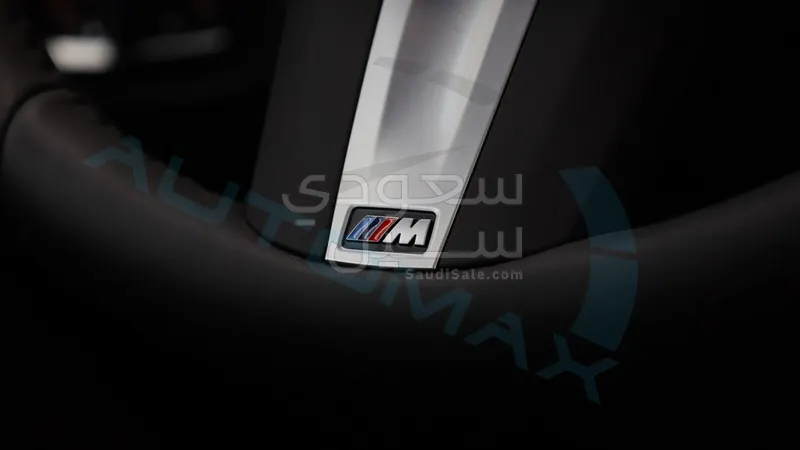 2025 BMW X Series 4